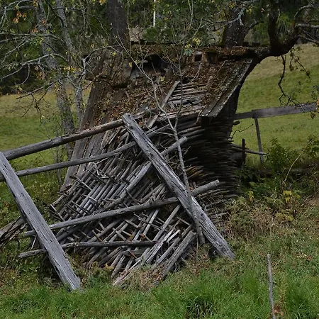 Bauernhof Kollreider Hof Anras