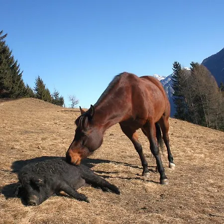 Kollreider Hof * Anras
